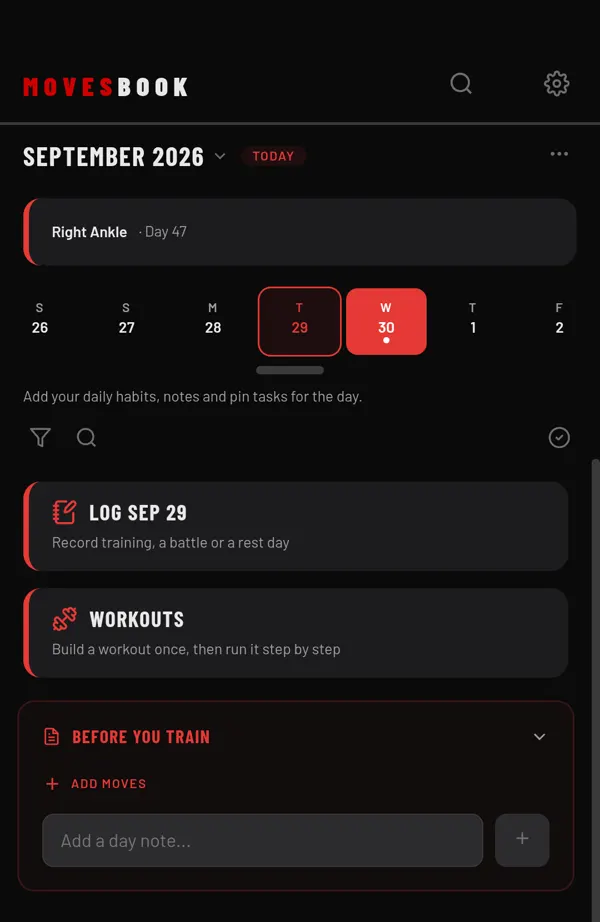 BEFORE YOU TRAIN on HOME: add moves to work on and a note for the day